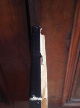 Cadre papillons naturalisés - Thailande