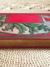 Livre ancien : " Les aventures de Jean-marie Potachou" 1895