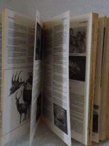 Livre Guinnes des Records 1983 , illustré 498 pages
