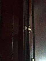 Vitrine d’exposition en bois