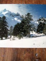 4 cartes postales le Mont Dore vintage 