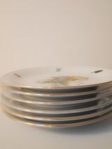 6 assiettes à dessert Seltmann Weiden