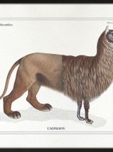 Chimère - gravure lithographie - l'alpalion