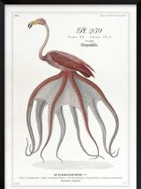 Chimère - gravure lithographie - le flamoulpe rose