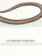 Chimère - gravure lithographie - le najafaka najafaka