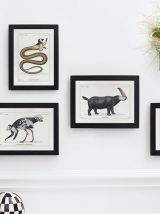 Chimère - gravure lithographie - le najafaka najafaka