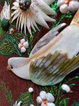 Nacres et coquillages. 