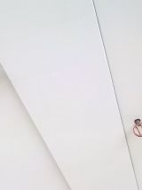 Armoire penderie année 50 de style art déco