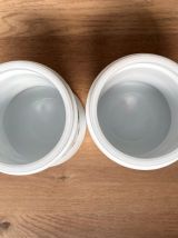 2 pots à épices en verre opalin