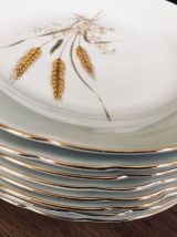 Lot de 8  belles assiettes à dessert en porcelaine Vintage