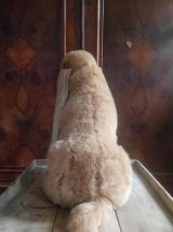 Cocker en peluche vintage (Jouets Berger)