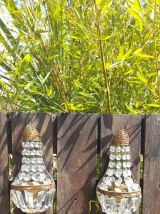 Paire d'appliques murales "mongolfiere " vers 50's