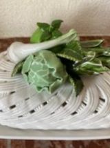 Beurrier en barbotine italienne