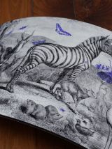  Gravure illustration zèbre - jardin d’acclimatation 1850