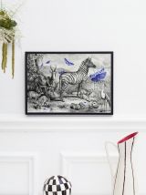  Gravure illustration zèbre - jardin d’acclimatation 1850