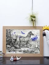  Gravure illustration zèbre - jardin d’acclimatation 1850