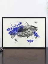 Gravure poisson insectes vintage