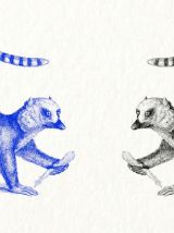 Gravure lithographie lémurien animal vintage