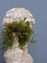 Tête David en plâtre - petite série - n°12