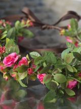 Couronne de fleurs roses et feuillage