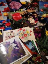 LOT 95 cartes postales de fleurs
