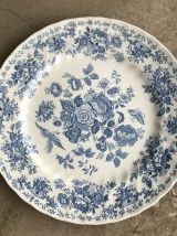 Série de 6 assiettes - en porcelaine anglaise
