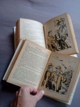 En famille, Hector Malot, tome I et II (complet)