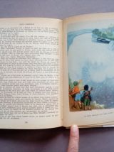 Sans famille, Hector Malot, Tome II