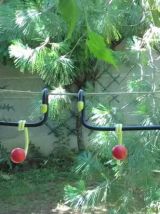 jolie paire de porte manteaux vintage à suspendre (métal)