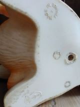  Pouet écureuil vintage (Delacoste) 