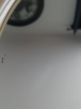 Miroir rond mural couleur crème 