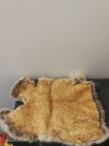 Petite peau d'animal 