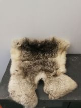 Petite peau d'animal 