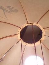 Lampe boule Herbier vintage