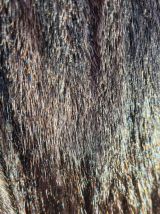 Vison  Long  Qualité fabrication exceptionne Plein pau  Jama