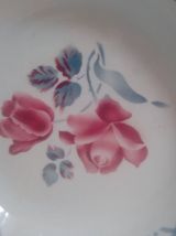 2 Plats Digoin Cannes