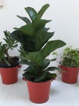 Pot seau vintage en métal émaillé rouge