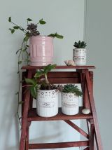  Pots à épices en métal émaillé