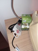 Lampe téléphone vintage années 70 ivoire et chromé