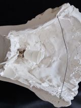 applique buste en plâtre