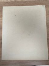 Planche Ornithologique J.G. Keulemans "Picus Leuconotus"