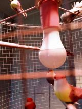 Plafonnier, lustre cage d'oiseaux, lampe volière dorée