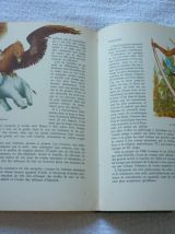 Les Voyages de Marco Polo - Nathan 1963