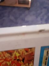 Yakari et le Coyote Tome 12 