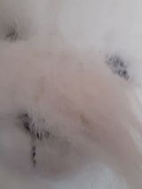 Trotti Trotta - 1991 - Ne fonctionne plus