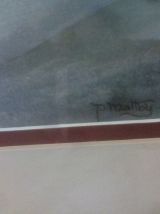 Illustration vintage féérie encadrée par un professionnel