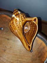  Coquillage cendrier signé numéroté