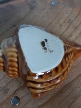  Coquillage cendrier signé numéroté