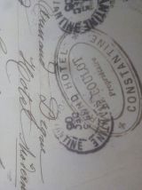 Carte postale 1906 encadrée fée marguerite