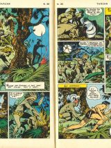 Tarzan - BD Année 1971 - n° 35 